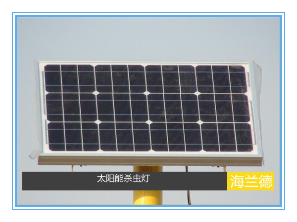 太陽(yáng)能殺蟲燈工程